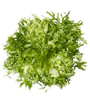Frisse Salad (sold per kg)