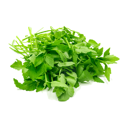 Leaf Selom (sold per kg)