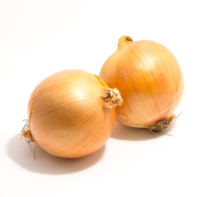 Onion Yellow / Holland (sold per kg)