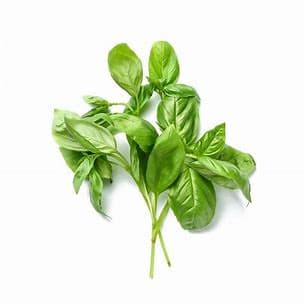 Basil Fresh 100g±/pack (sold per pack)