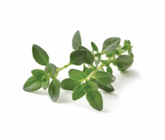Thyme Fresh 100g±/pack (sold per pack)