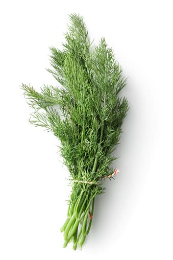 Dill 15cm x 10cm (sold per box)