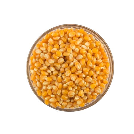 Popcorn/Sweet Corn 15cm x 10cm (sold per box)