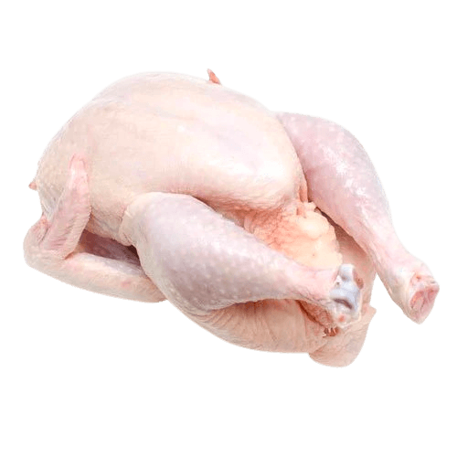 Spring Chicken 500-600g/nos