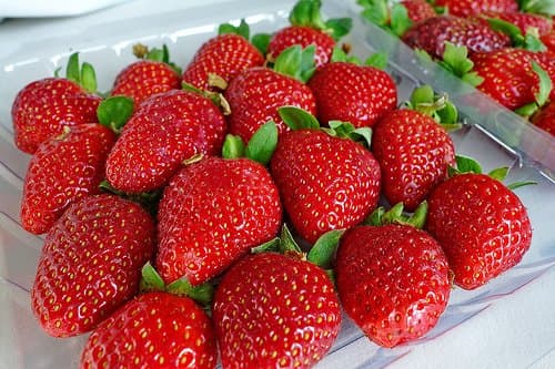 Cameron Strawberry (sold per kg) PREORDER