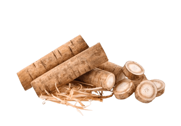 Burdock Root 10kg/ctn (sold per carton)