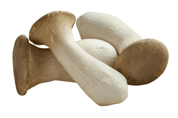 King Oyster Mushroom 200g/pack (sold per pack)