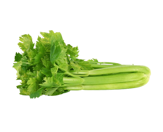 Australia Celery 15kg/ctn (sold per carton)