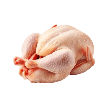 Chicken Spring 900g-1000g per nos (10 birds per carton)