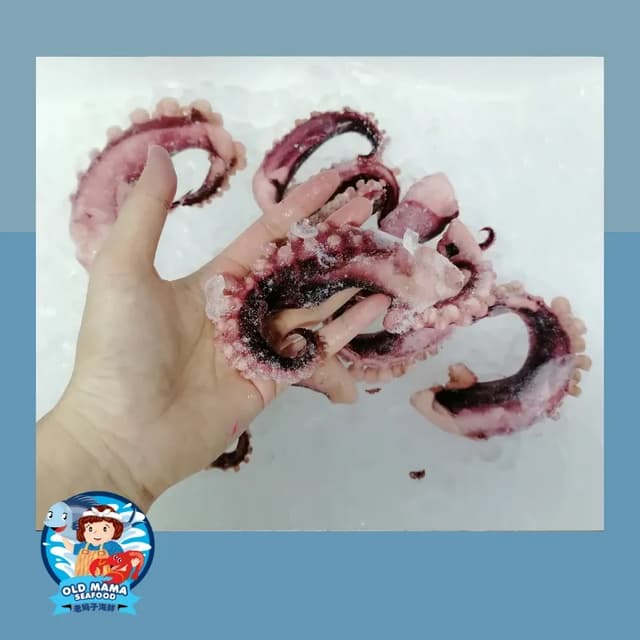 Octopus cooked tentacle XL - 1kg x 10pkt/ctn (sold per carton)