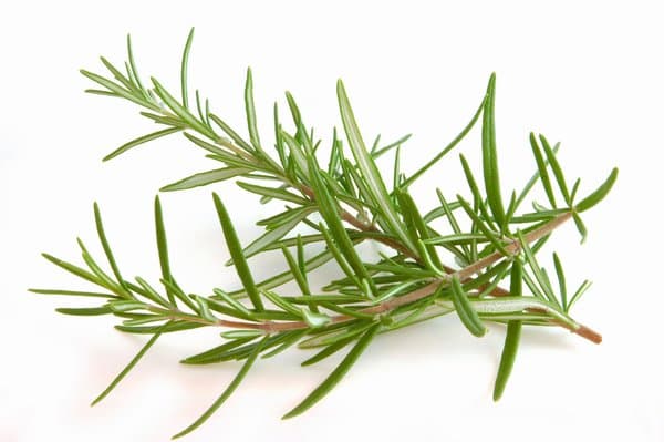 Ameritto Gourmet Rosemary 500g/pack (sold per pack)