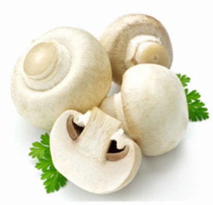 White Button Mushroom (sold per kg)