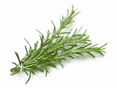 Rosemary (sold per kg)