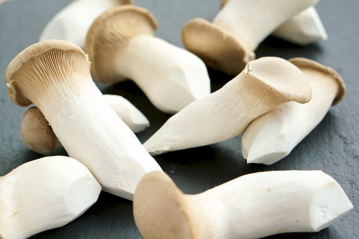Fresh King Oyster Mushroom, Pleurotus Eryngii 200g/pack (sold per pack)
