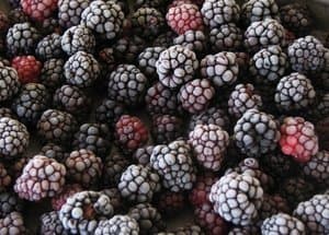 Harvestime IQF Blackberry Grade A 1kg/pack