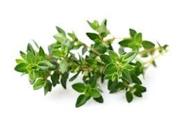 Fresh Herb – Thyme 50g/pack (sold per pack)