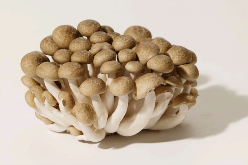 Brown Shimeji Mushroom 200g±/pack (sold per pack)