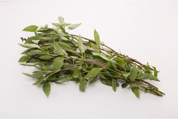 Daun Kesum / Laksa Leaf 400g/bundle(sold per bundle)